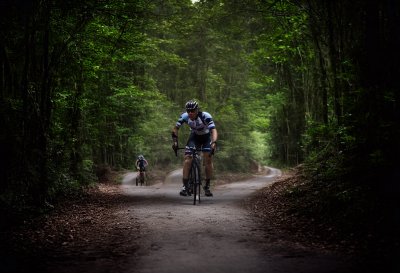 cyclist, sports, road bike, hobby, forest path, leisure time, training