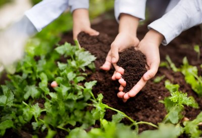 hands, plant maintenance, compost, eco-activity, organic, house, spring, agricultural, farm, diy gardening, ecological gesture, healthy lifestyle, environmental, slow life, home gardening, urban agriculture, outdoor activity, nature, soil preparation, woman, natural lifestyle, vegetable garden, botanical, soil