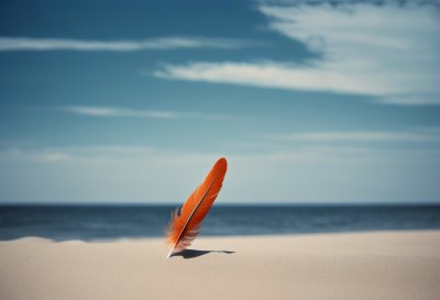 feather, beach, sand, baltic sea, nature, north sea, water, outdoors, postcard motif, blue