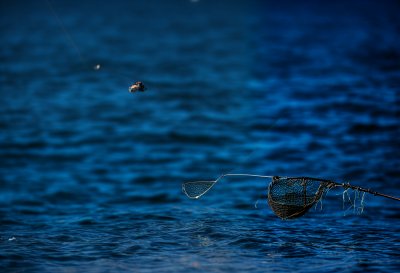 fishing, shore, net, boat, watery, nature, blue, shape, aerial view, natural, beach, practice, catch, vietnam, phu yen, coastal, panorama, sea, circular, equipment, activity